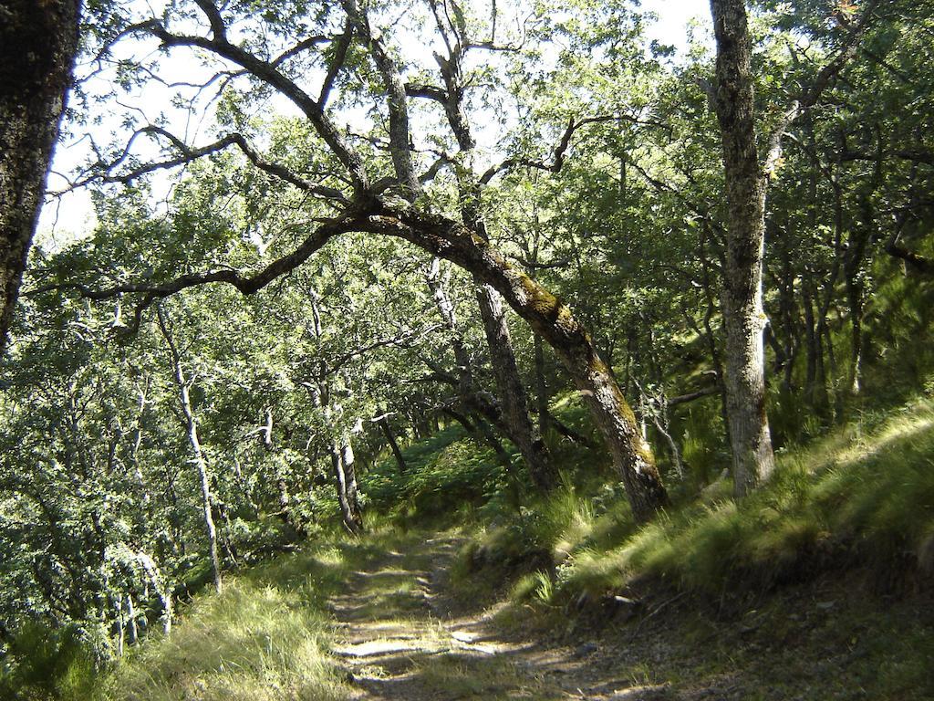 Carriles Romanos Villa Odollo Bagian luar foto