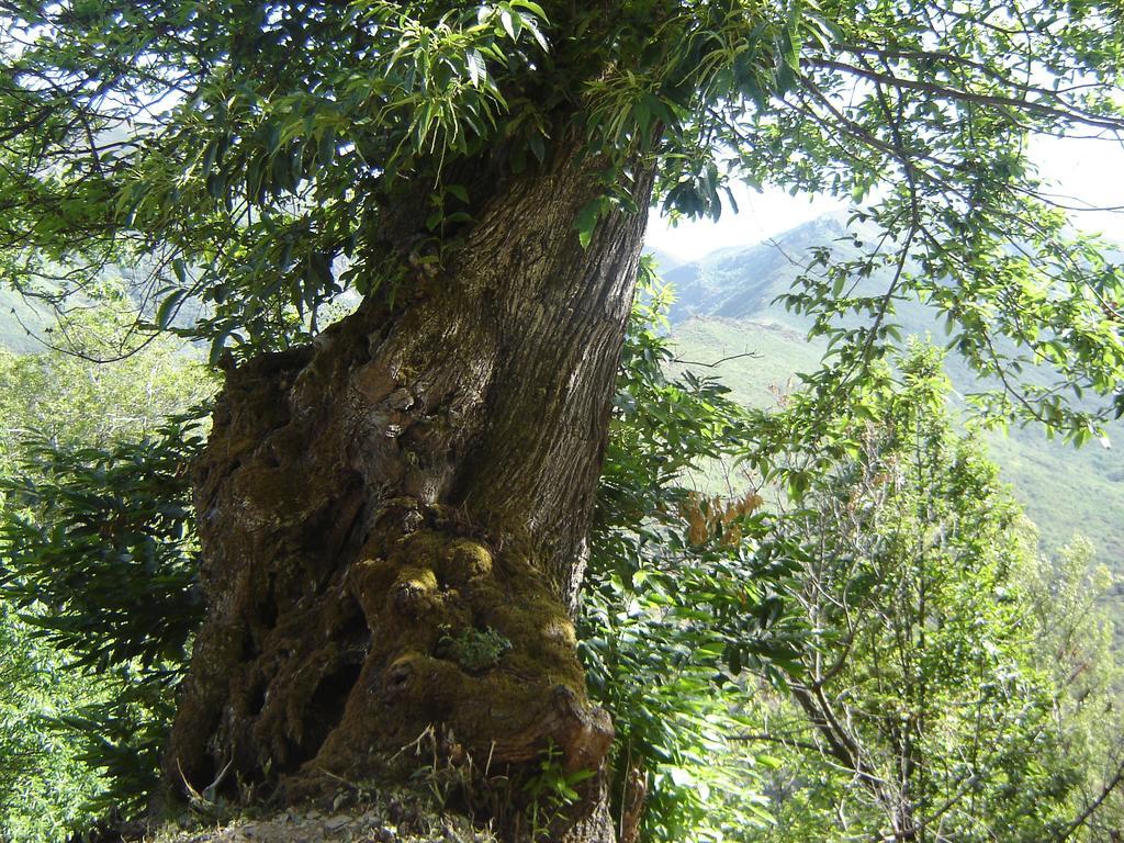 Carriles Romanos Villa Odollo Bagian luar foto